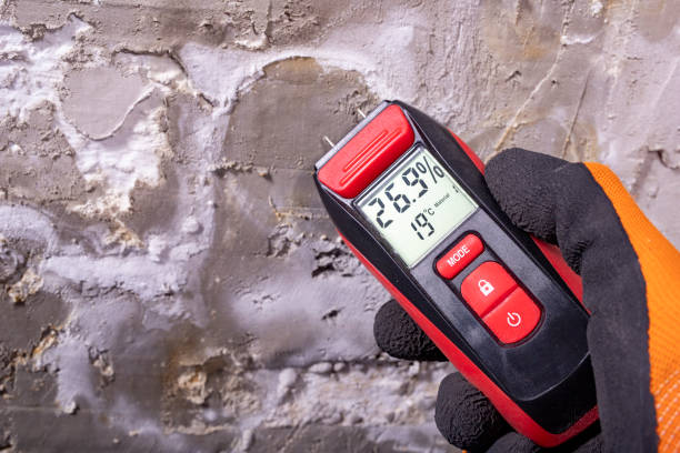 Best Mold Remediation  in Media, PA