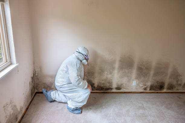Water Damage Restoration in Media, PA